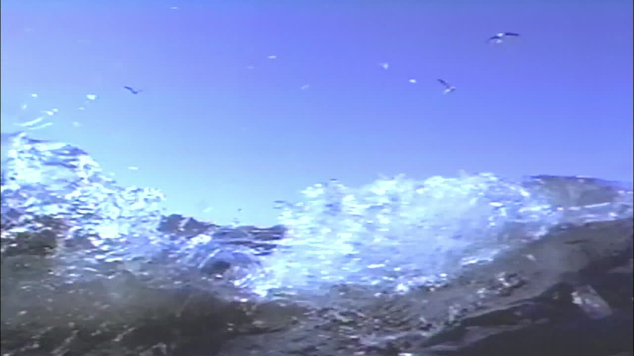 3d Shark Swim Past