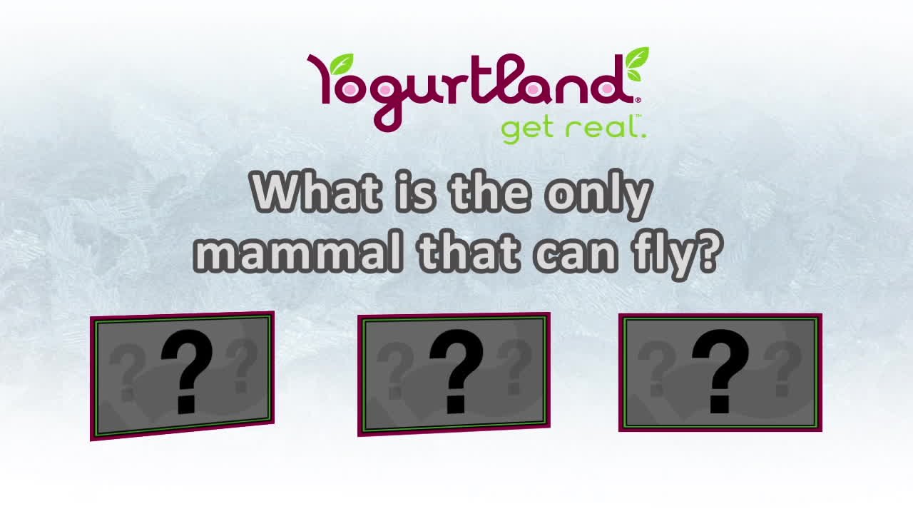 Brain Freeze Trivia