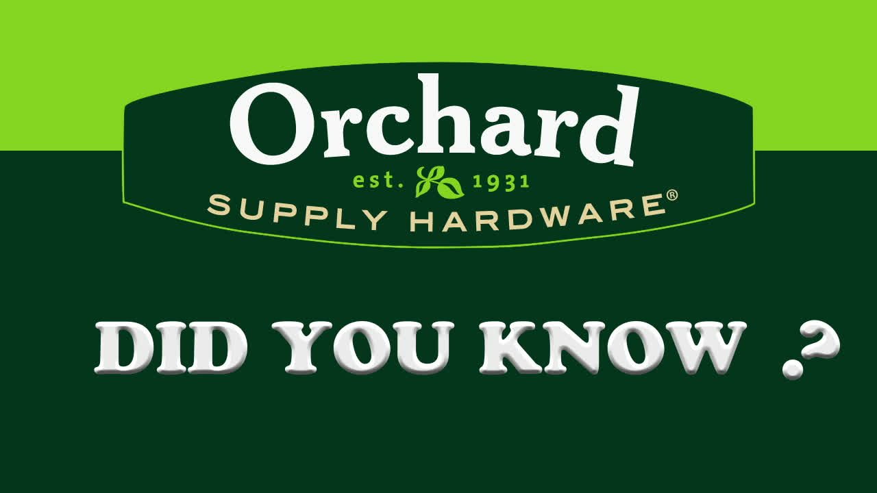 Did You Know