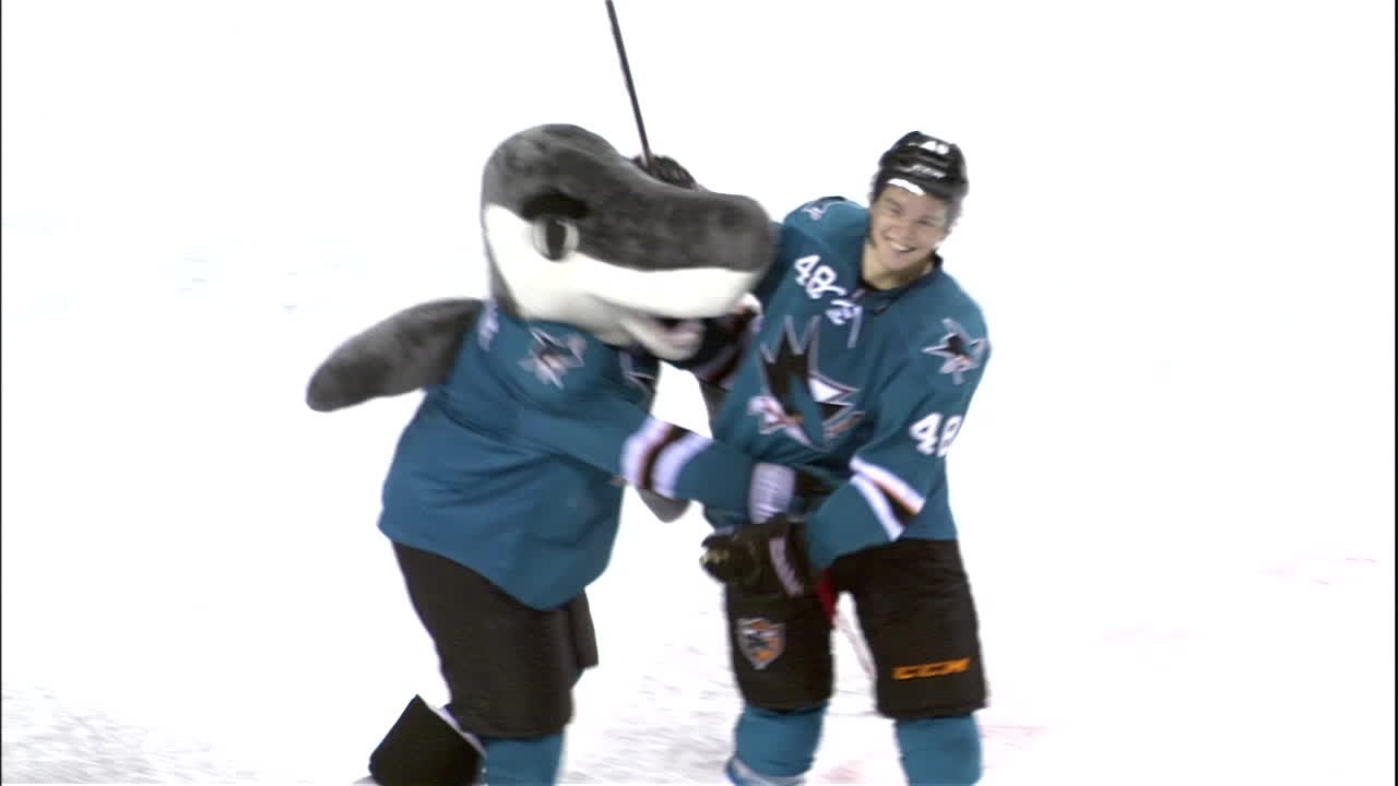 Junior Sharks Recognition Video