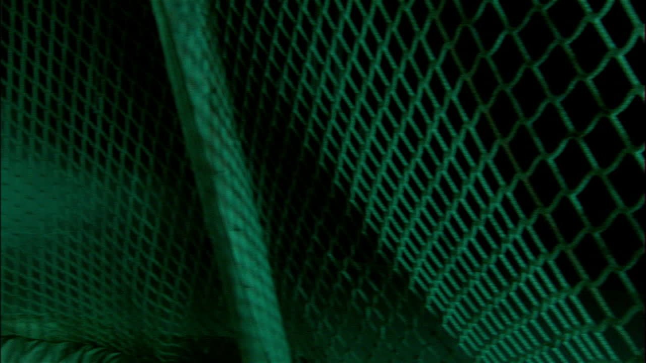 Penalty Kill Animation