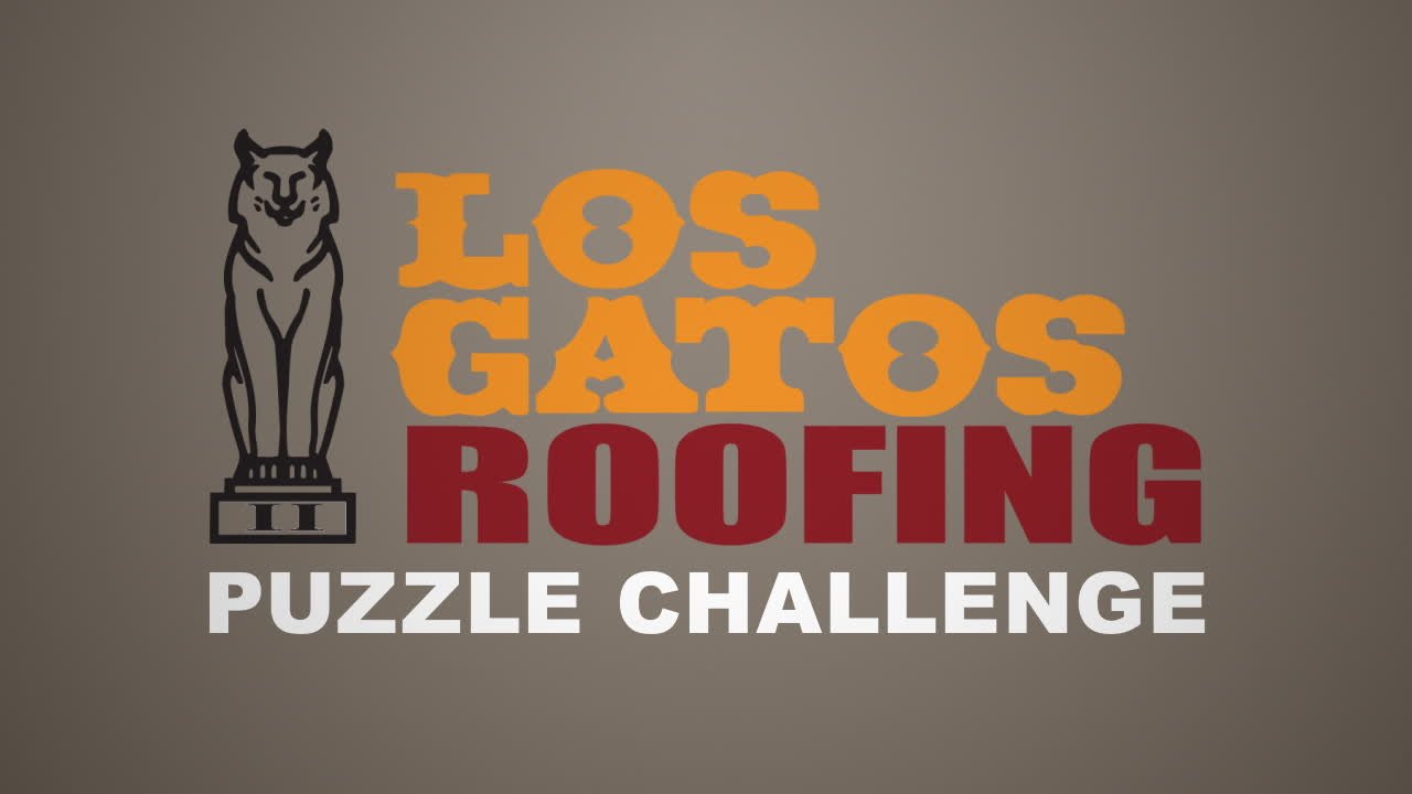 Puzzle Challenge