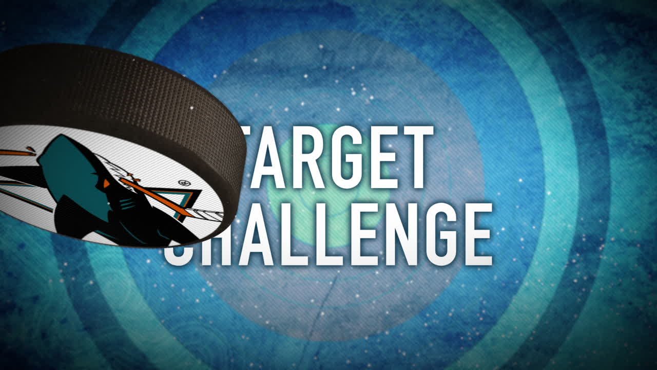 Target Challenge