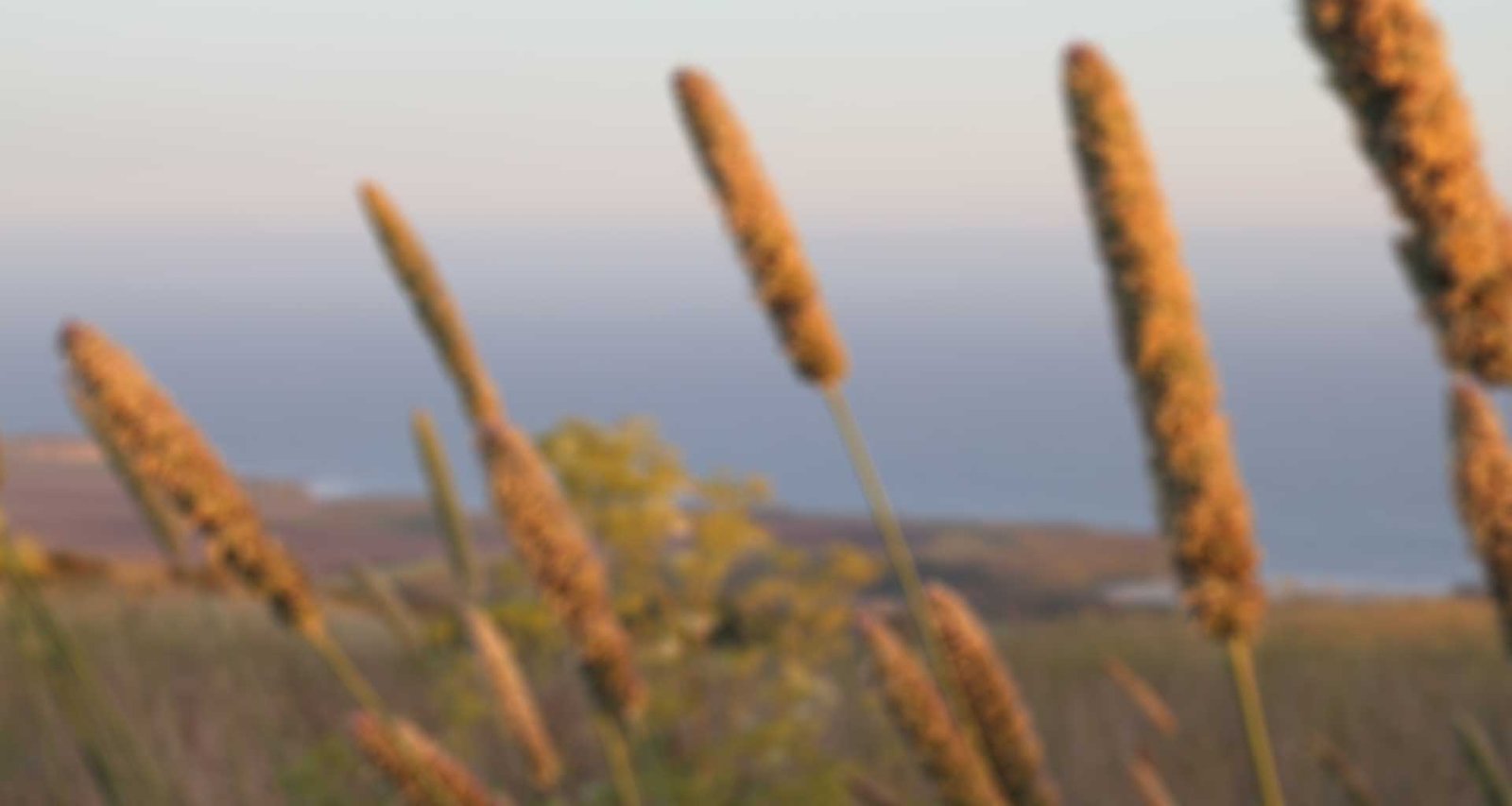 Ventana Wilderness Program