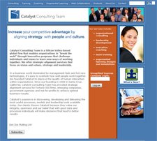 Consulting Website
