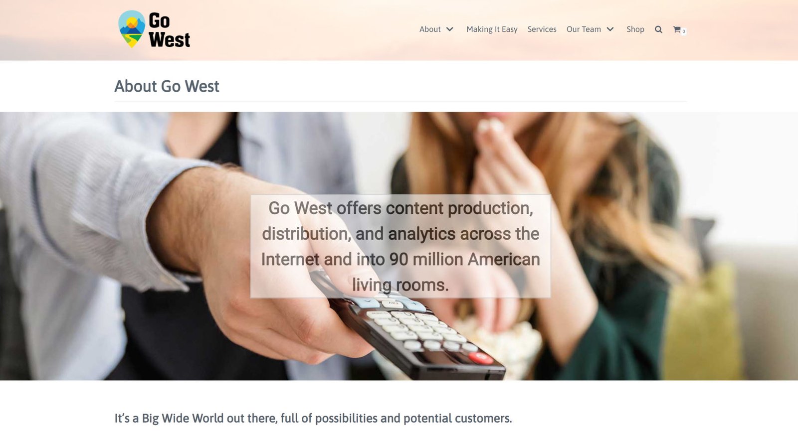 OTT Travel Industry Website