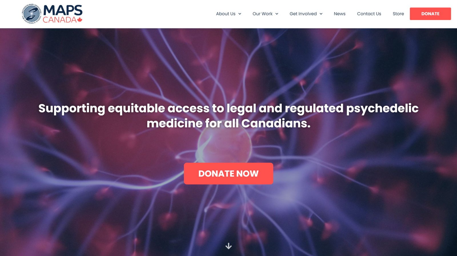 Non-profit Advocacy and Information Website